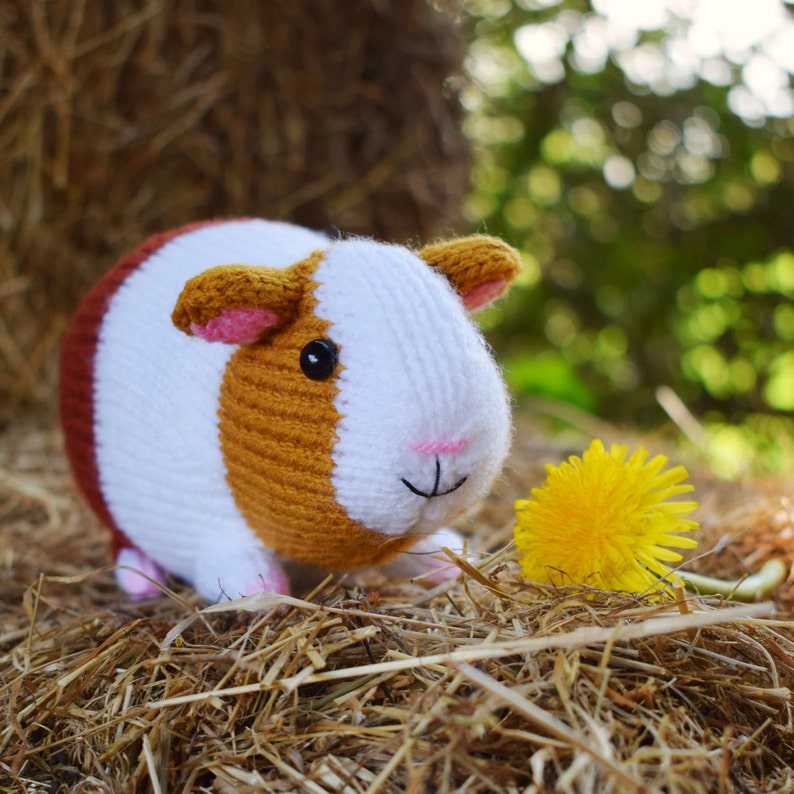 Gordon the guinea pig knitting pattern PDF instant download knitted amigurumi toy / pet / hamster / softie / animal / nursery decor 画像 7