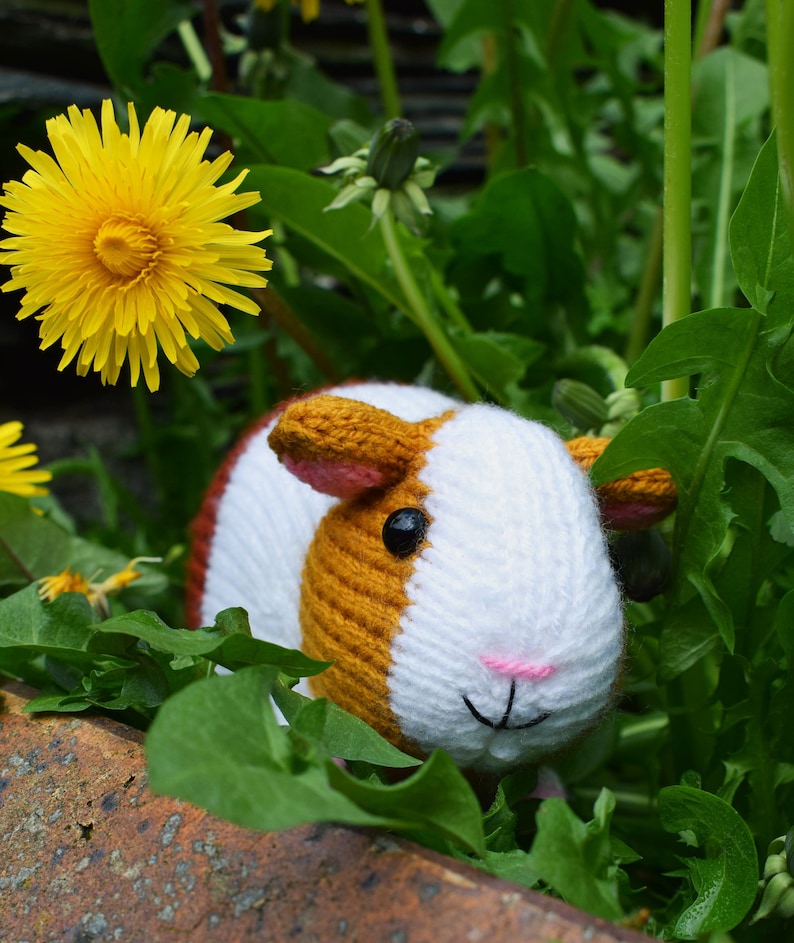 Gordon the guinea pig knitting pattern PDF instant download knitted amigurumi toy / pet / hamster / softie / animal / nursery decor 画像 5