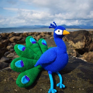 Norman the peacock knitting pattern PDF instant download knitted amigurumi toy / bird / softie / animal image 7