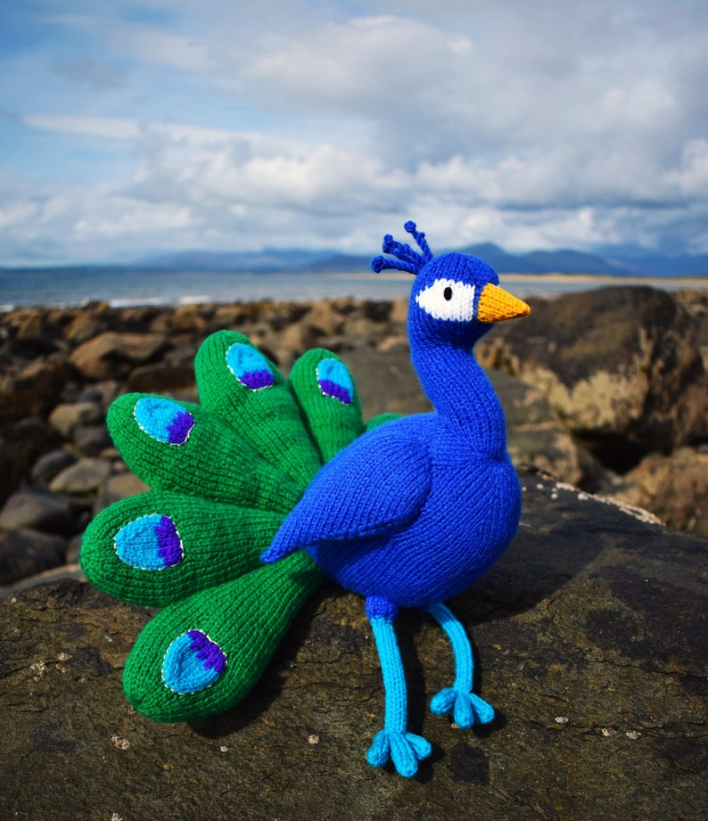 Norman the peacock knitting pattern PDF instant download knitted amigurumi toy / bird / softie / animal image 7