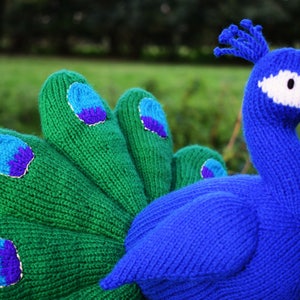 Norman the peacock knitting pattern PDF instant download knitted amigurumi toy / bird / softie / animal image 6