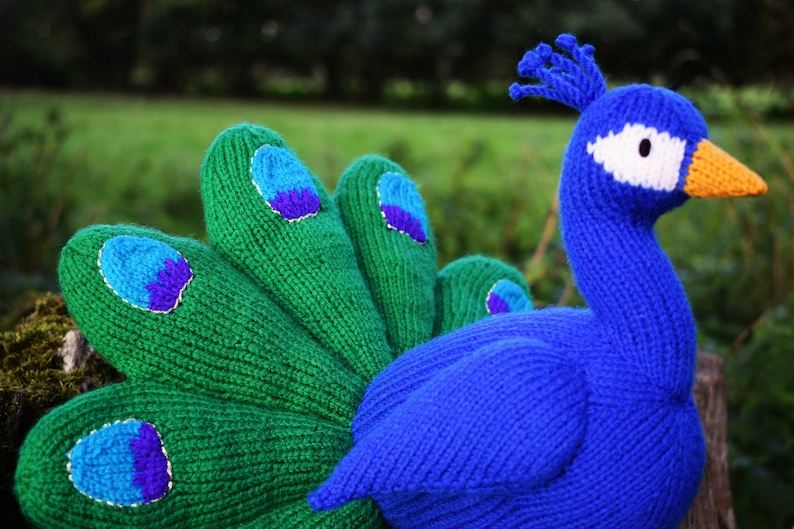 Norman the peacock knitting pattern PDF instant download knitted amigurumi toy / bird / softie / animal image 6