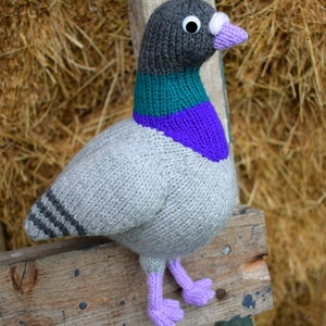 Paul the pigeon knitting pattern PDF instant download knitted amigurumi toy / bird / softie / animal / dove / cute / nursery decor image 3