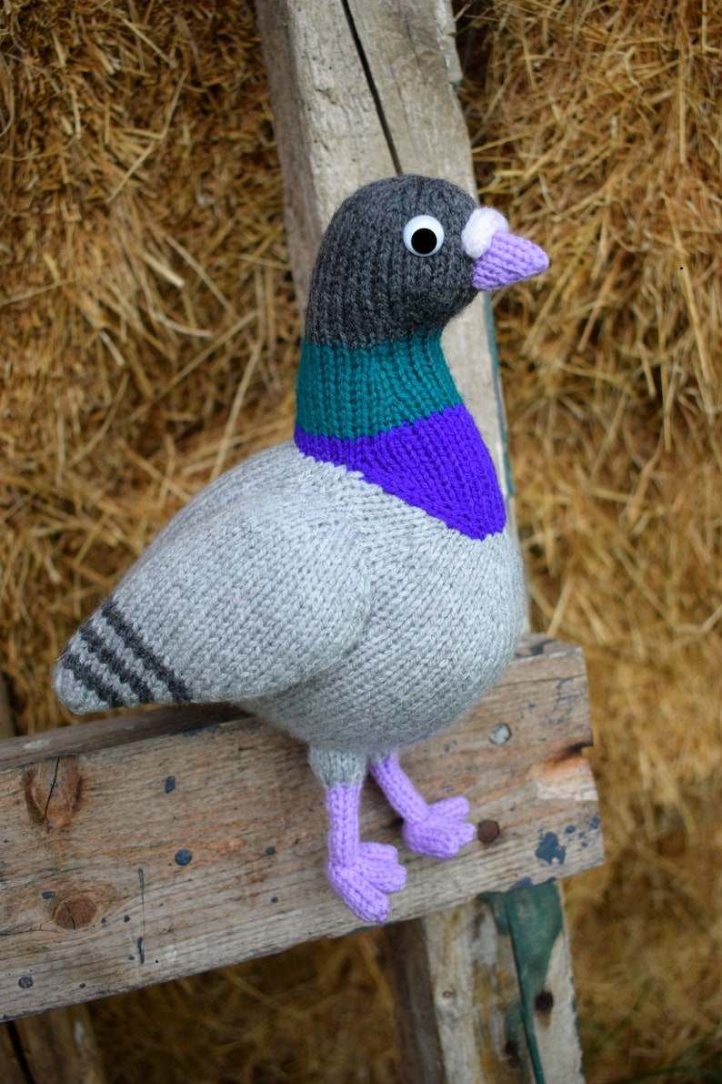 Paul the pigeon knitting pattern PDF instant download knitted amigurumi toy / bird / softie / animal / dove / cute / nursery decor image 3