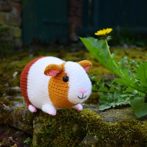 Gordon the guinea pig knitting pattern PDF instant download knitted amigurumi toy / pet / hamster / softie / animal / nursery decor 画像 4