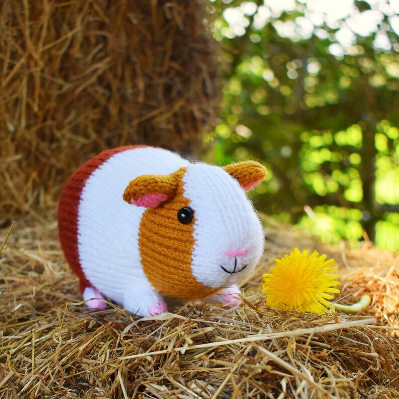 Gordon the guinea pig knitting pattern PDF instant download knitted amigurumi toy / pet / hamster / softie / animal / nursery decor 画像 10