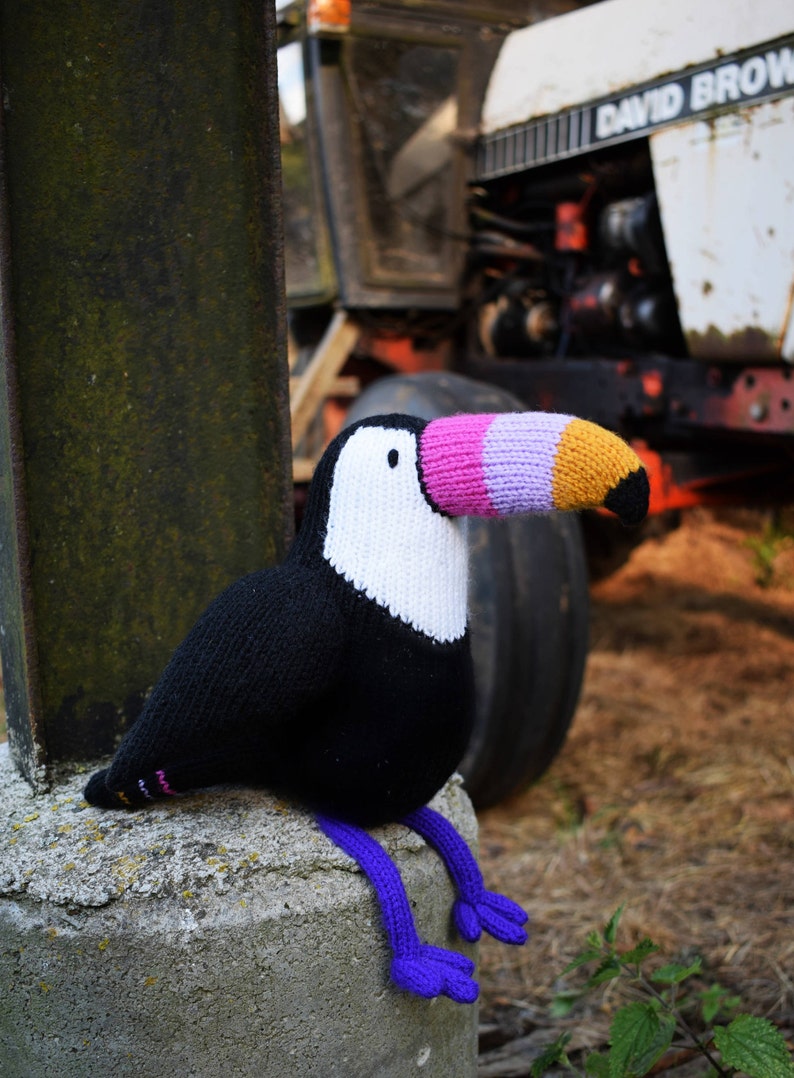 Graham the toucan knitting pattern PDF instant download knitted amigurumi toy / bird / animal / tropical / softie / intarsia image 4