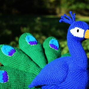 Norman the peacock knitting pattern PDF instant download knitted amigurumi toy / bird / softie / animal image 3