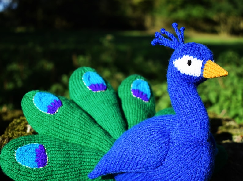 Norman the peacock knitting pattern PDF instant download knitted amigurumi toy / bird / softie / animal image 3