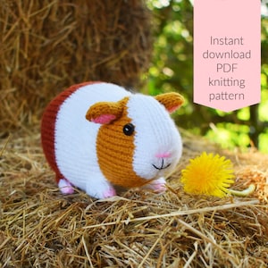 Gordon the guinea pig knitting pattern PDF instant download knitted amigurumi toy / pet / hamster / softie / animal / nursery decor 画像 1