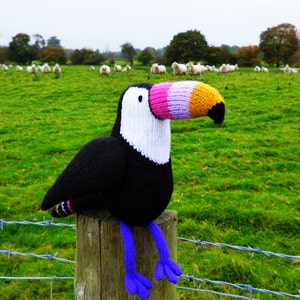 Graham the toucan knitting pattern PDF instant download knitted amigurumi toy / bird / animal / tropical / softie / intarsia image 8