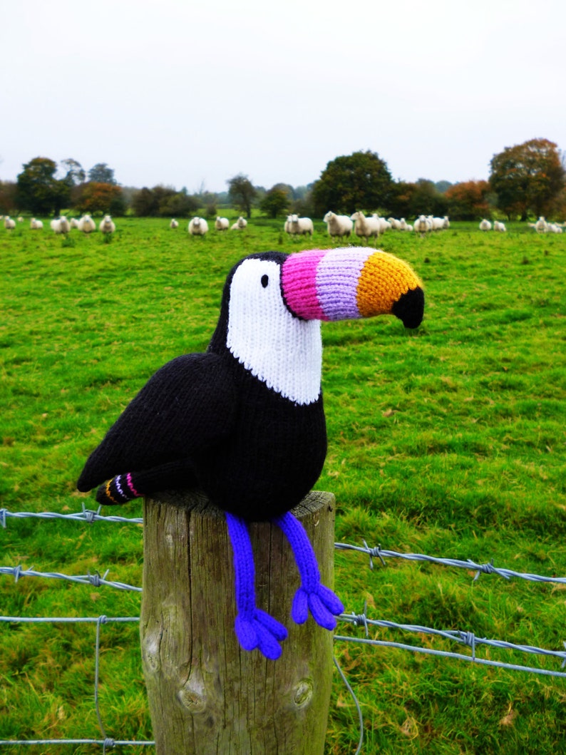Graham the toucan knitting pattern PDF instant download knitted amigurumi toy / bird / animal / tropical / softie / intarsia image 8
