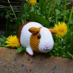 Gordon the guinea pig knitting pattern PDF instant download knitted amigurumi toy / pet / hamster / softie / animal / nursery decor image 6