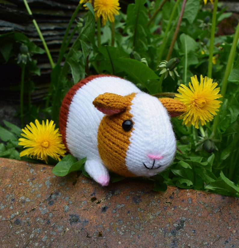 Gordon the guinea pig knitting pattern PDF instant download knitted amigurumi toy / pet / hamster / softie / animal / nursery decor image 6