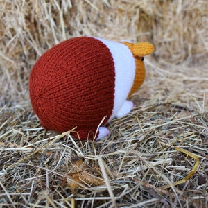 Gordon the guinea pig knitting pattern PDF instant download knitted amigurumi toy / pet / hamster / softie / animal / nursery decor 画像 8