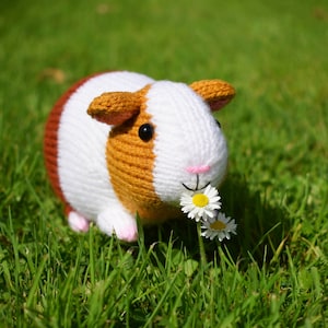 Gordon the guinea pig knitting pattern PDF instant download knitted amigurumi toy / pet / hamster / softie / animal / nursery decor 画像 3