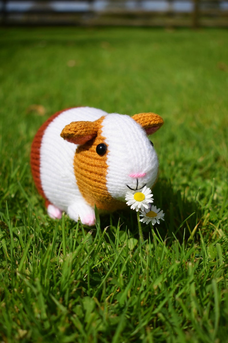 Gordon the guinea pig knitting pattern PDF instant download knitted amigurumi toy / pet / hamster / softie / animal / nursery decor image 3