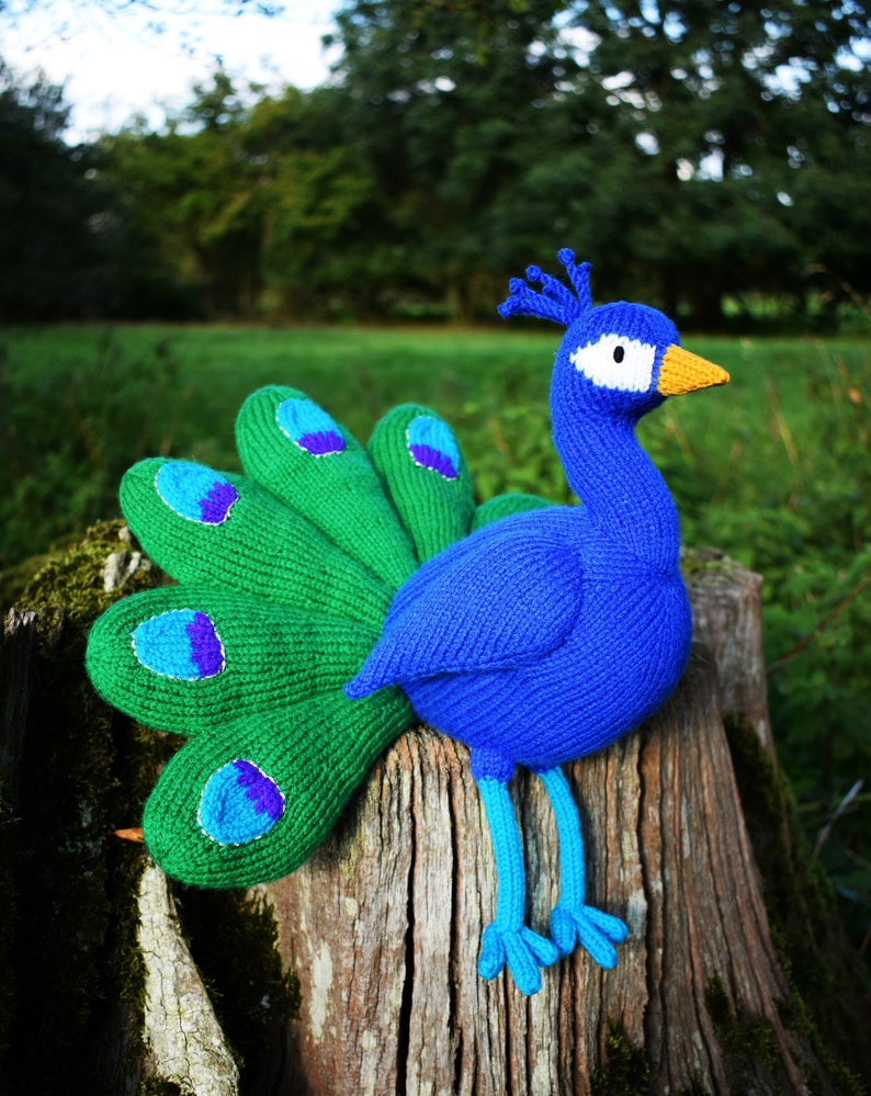 Norman the peacock knitting pattern PDF instant download knitted amigurumi toy / bird / softie / animal image 10
