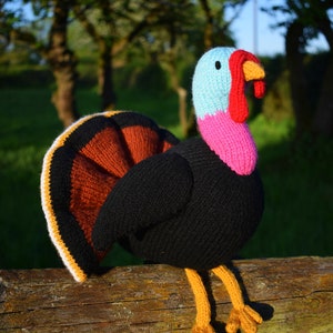 Trevor the turkey knitting pattern PDF instant download knitted amigurumi toy / Christmas / thanksgiving / bird / festive / softie /animal image 4