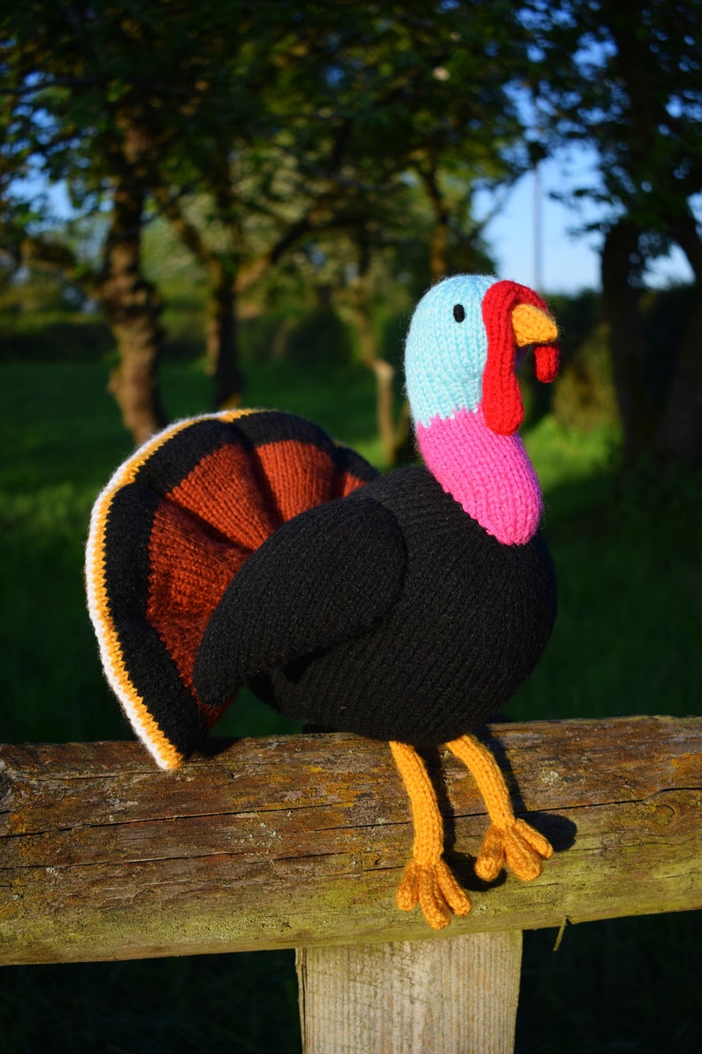 Trevor the turkey knitting pattern PDF instant download knitted amigurumi toy / Christmas / thanksgiving / bird / festive / softie /animal image 4