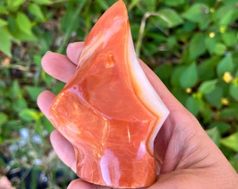 Vibrant Carnelian Polished Self Standing Freeform // Stone of Love and Clairity // Heart Chakra Palm Stone