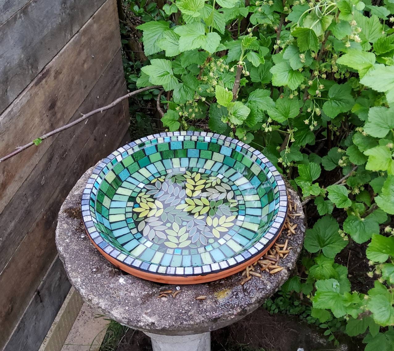 WOODLAND Mosaic Birdbath Kit. No Cutting Required. Suitable Etsy UK