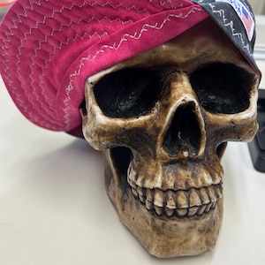 Puede incluir: Una calavera decorativa con una gorra gris oscura y rosa. La gorra tiene un interior rosa con costuras blancas y un pequeño parche con la bandera estadounidense. La calavera es de color marrón claro.