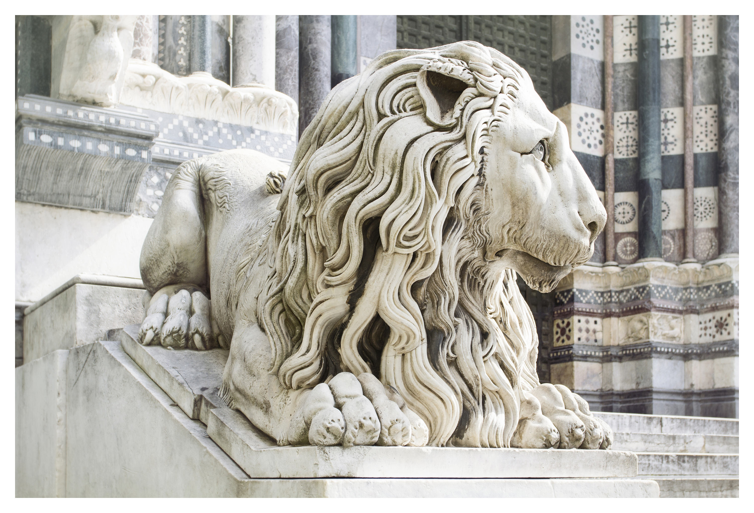 Genoa Italy lion statue Leo Italian home decor Italy Etsy