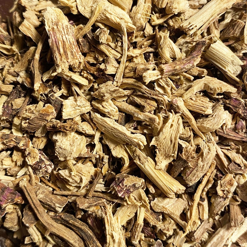 Echinacea Root Echinacea purpurea Bulk Dried Herb Etsy