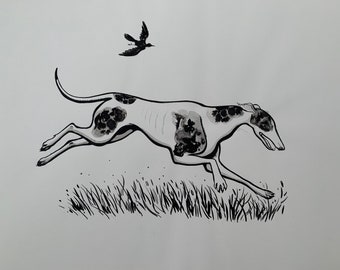 Running greyhound ink drawing