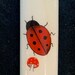 see more listings in the Kolibris & Käfer section