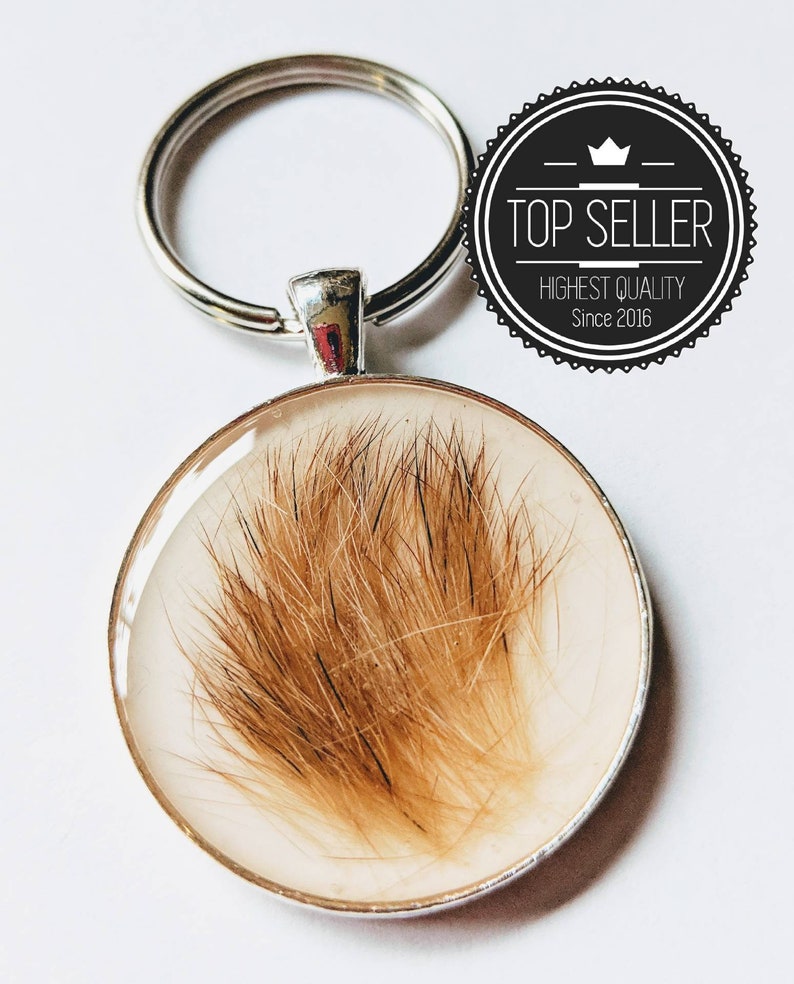 Hair Keychain Pet Fur Keychain Pet Fur Memorial Pet Etsy