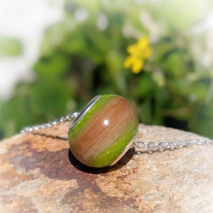 May include: A round pendant necklace with a silver chain. The pendant is a mix of brown and green, with a silver cap. The necklace is displayed on a rock, with a blurred green background.
