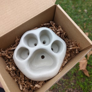 May include: A light gray paw-shaped planter with four small pots and one larger pot, presented in a brown cardboard box with shredded paper filler. The planter is made of concrete and is designed for small plants or succulents.