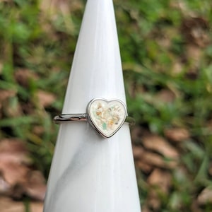 Heart Cremation Ring: Stainless Steel Pet Memorial Ring with Ashes