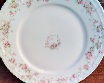 Haviland Porcelain Plate