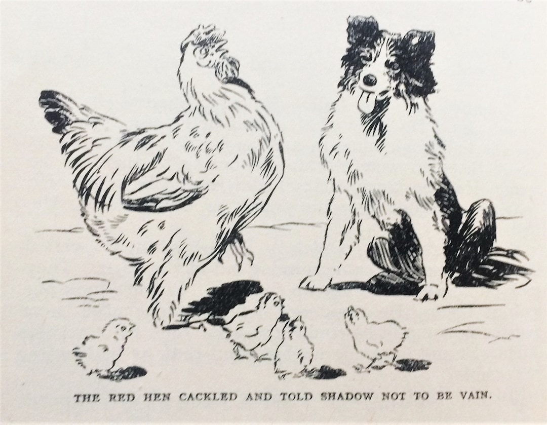 ENID BLYTON Shadow the Sheepdog Sheep Dog Rare 1943 1st/2nd Vintage Hardback Rare Collectable
