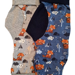 Maxaloones, Grow With Me Pants, Red Panda, Gender Neutral, Baby, Toddler