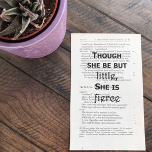 A Midsummer Night&#39;s Dream Book Quote: Though she be but little, she is fierce