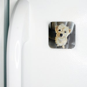 Personalized Magnet, Personalized Picture Magnet, Custom Photo Refrigerator Magnet image 9