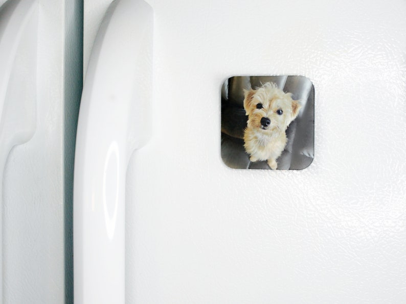 Personalized Magnet, Personalized Picture Magnet, Custom Photo Refrigerator Magnet image 9