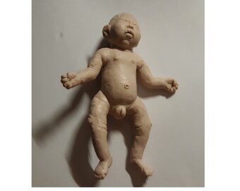 womb baby reborn