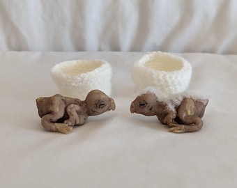Ready to Ship #1 Bird- 1 Miniature Full Body Solid Silicone baby Bird Cockatiel Mini