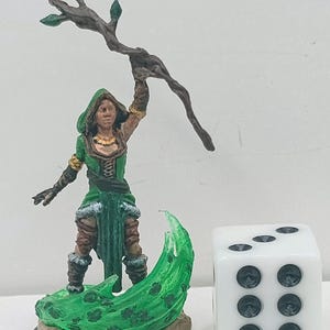Human Druid
