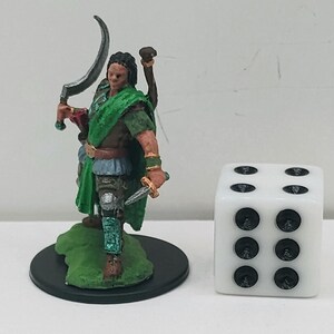Human Ranger