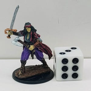 Vampire Hunter