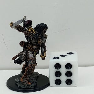 Human Fighter