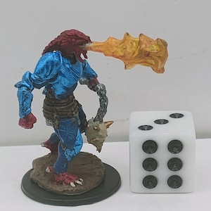 Dragonborn Paladin
