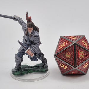 Male Human Fighter