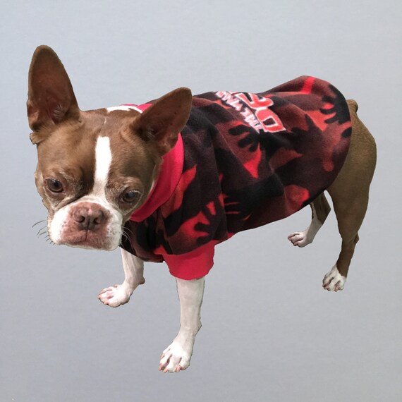 dog bubble jacket